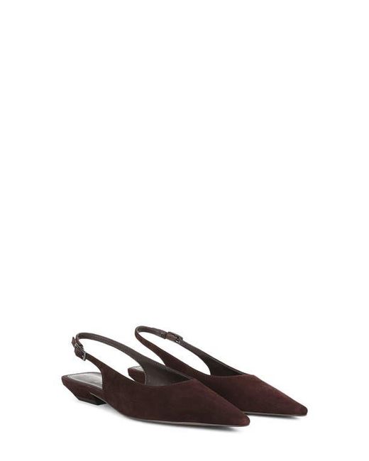 Sam Edelman Brown Netty Slingback Pointed Toe Flat