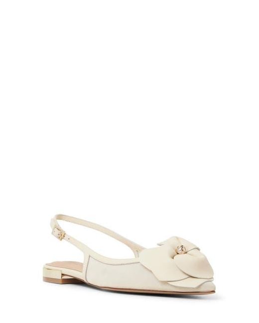 Ted Baker White Lili Rose Pointed Toe Slingback Flat
