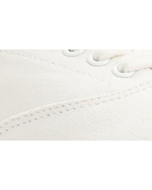 Sperry Top-Sider White Classic Cvo Sneaker