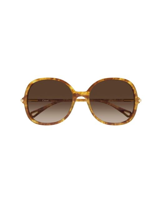 Chloé Brown 57Mm Gradient Round Sunglasses