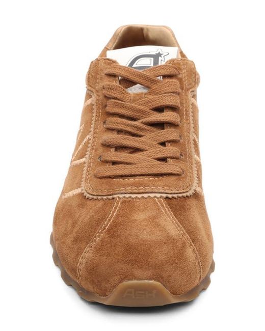 Ash Brown Killer Low Profile Sneaker
