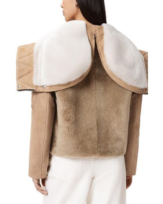 AllSaints Natural Dexter Genuine Shearling Bomber Jacket