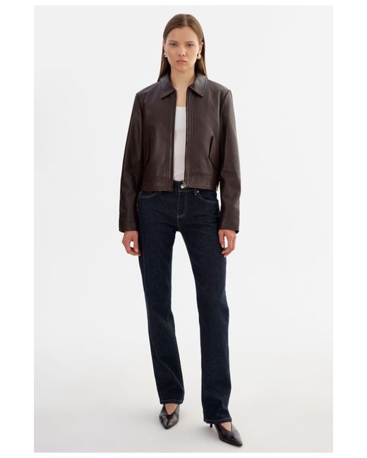 Lamarque Blue Tess