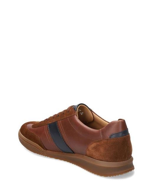 Mephisto Brown Elyo Sneaker for men