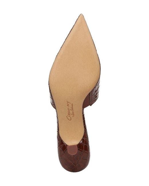 Circus by Sam Edelman Brown Gemma Mule