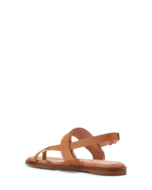 Cole Haan Brown Anica Lux Slingback Sandal
