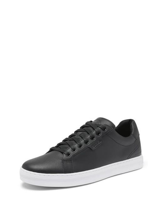 Sorel Black Cyprus Wp Sneaker for men
