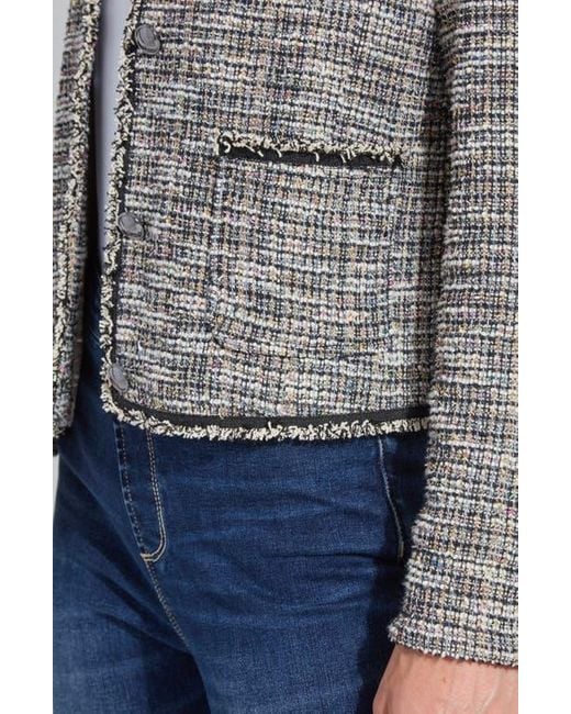 Lyssé Gray Collarless Stretch Tweed Jacket