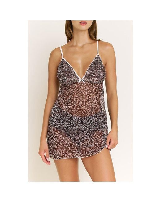 Honeydew Intimates Purple Rumba Floral Ruffle Sheer Chemise