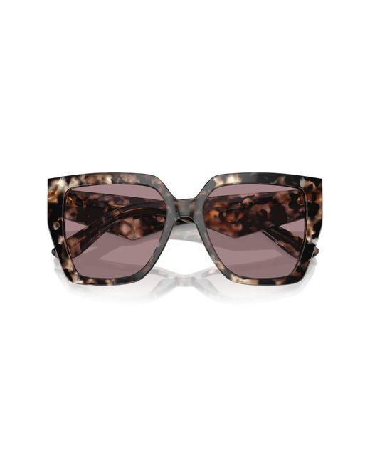Dolce & Gabbana Brown 55mm Square Sunglasses