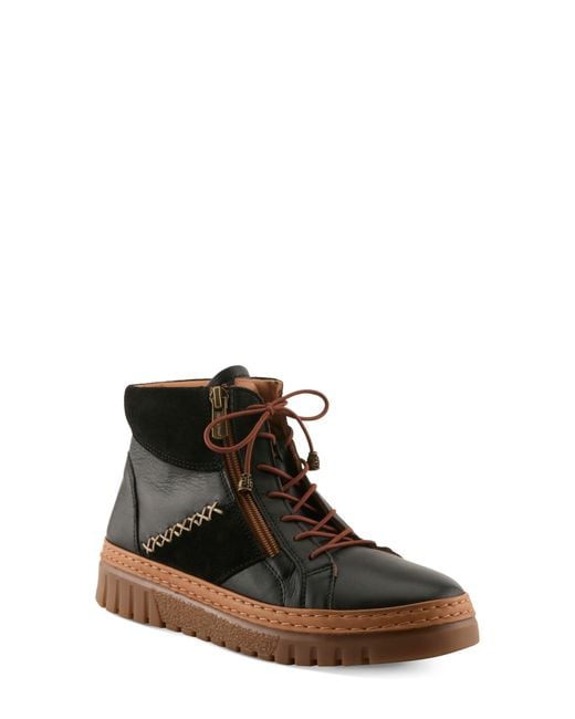 Spring Step Brown Mixmod High Top Sneaker