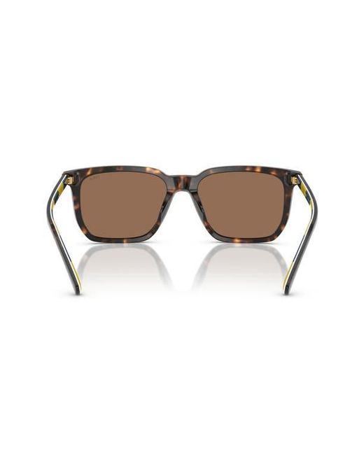 Polo Ralph Lauren Brown 55Mm Rectangular Sunglasses for men