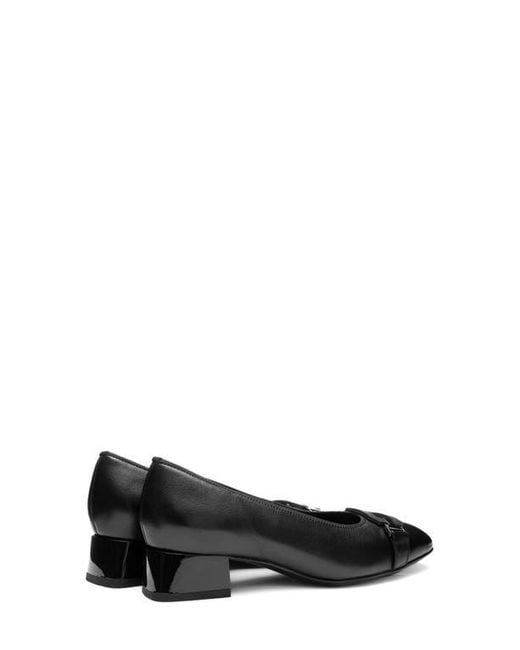 Ara Black Glacier Pump
