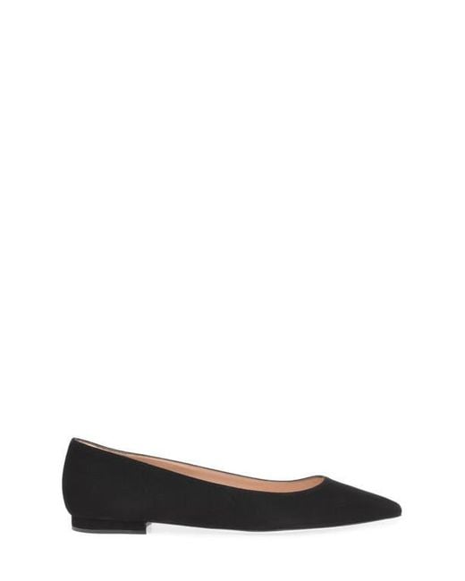Gianvito Rossi Black Gianvito Flats