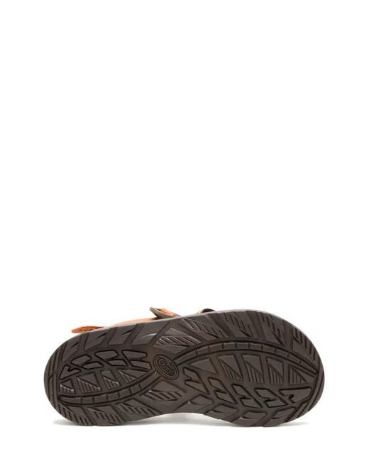 Chaco Brown Z1 Classic Sandal for men