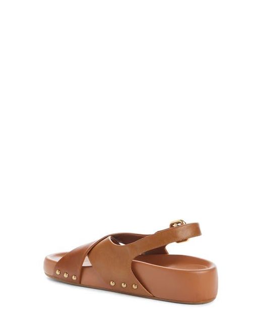 Chloé Brown Mae Paddington Sandal