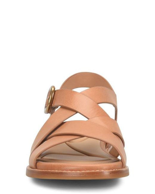 Söfft Brown Nancy Slingback Sandal