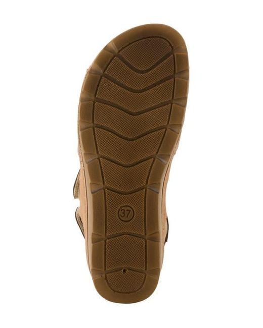 Flexus by Spring Step Brown Orwell Sandal