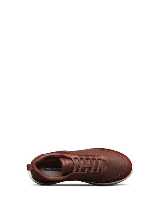 Wolf & Shepherd Brown Baller Sneaker for men
