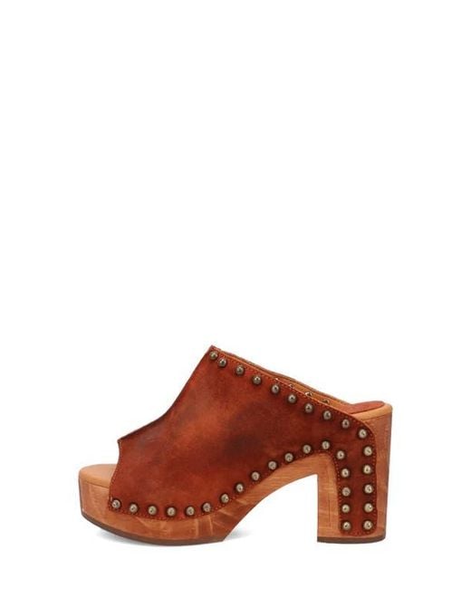 Dingo Brown Echo Clog