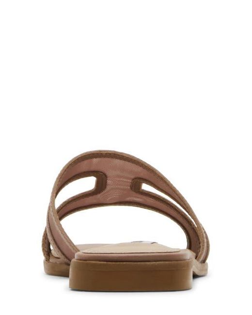 Steve Madden Brown Hazel Slide Sandal