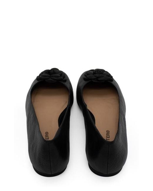 BOTTER Black Botsamya Ballet Flat