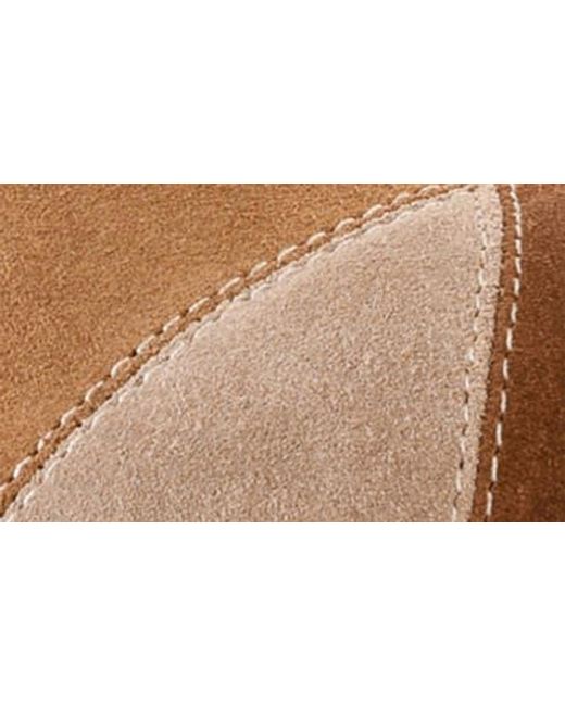 Seychelles Brown Whammy Platform Clog
