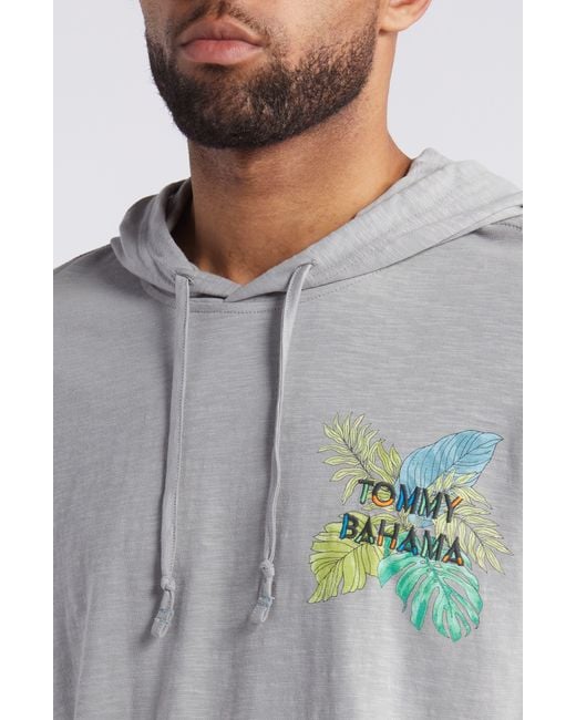 Tommy Bahama Gray Who Can Toucan Lux Organic Cotton Hoodie for men