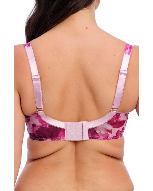 Fantasie Red Pippa Underwire Side Support Bra