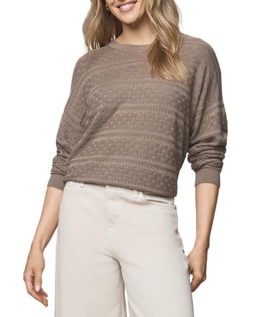 Splendid Multicolor Georgie Oversize Pointelle Sweater