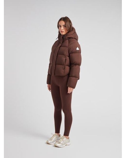 Jacket Brown Cloud Cropped Hooded Puffer Jacket