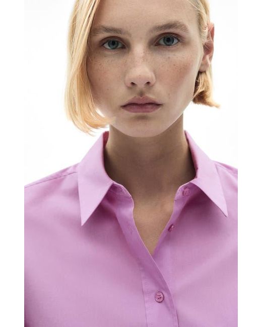 Mango Purple Lyocell Blend Button-Up Shirt