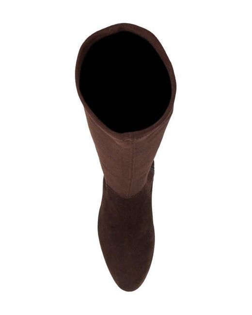 Dune Brown Simple Knee High Boot