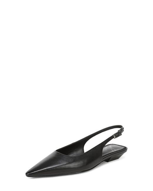 Sam Edelman Black Netty Slingback Pointed Toe Flat