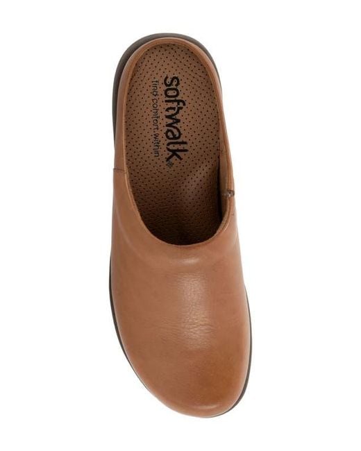 Softwalk® Brown Andria Mule