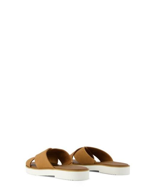 TOMS Brown Mae Crisscross Slide Sandal