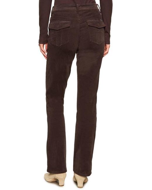 Sanctuary Brown Hayden Bootcut Corduroy Pants