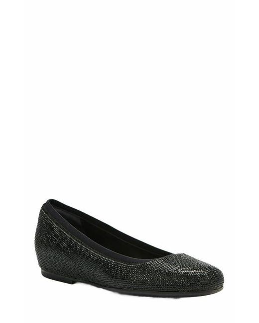 ABEO Black Cadence Ballet Flat