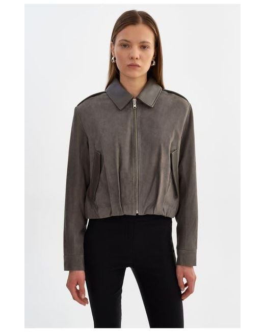 Lamarque Black Robbie