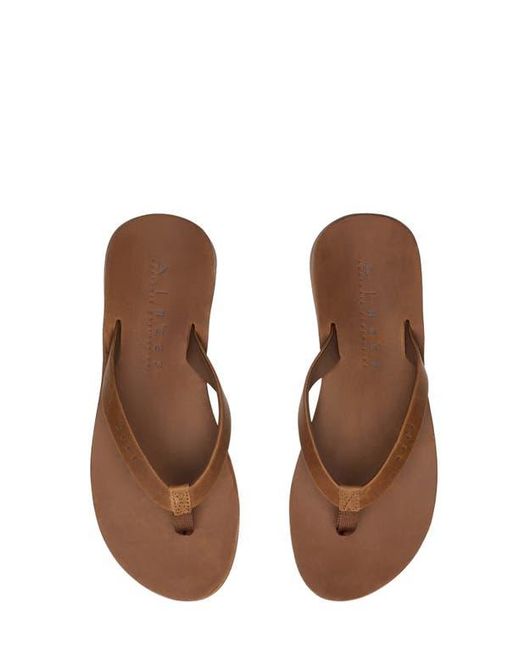 Reef Brown Ojai Classic Slim Flip Flop