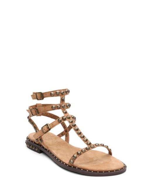 Ash Natural Play 2 Gladiator Sandal