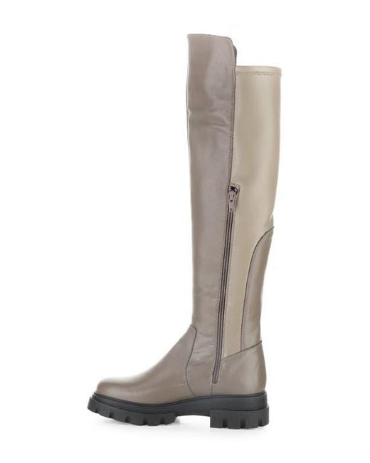 Bos. & Co. Brown Fifth Waterproof Knee High Boot