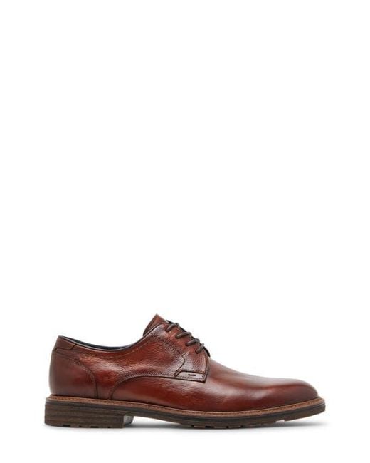Steve Madden Brown Aeden Derby for men