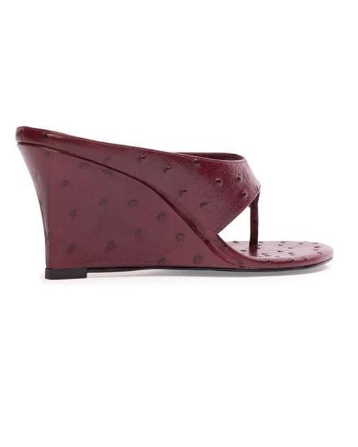 Black Suede Studio Purple Mac 70 Wedge