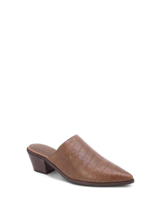 Chocolat Blu Brown Cellia Pointed Toe Mule