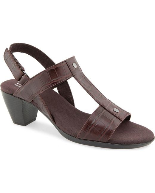Munro Brown Willow Slingback Sandal