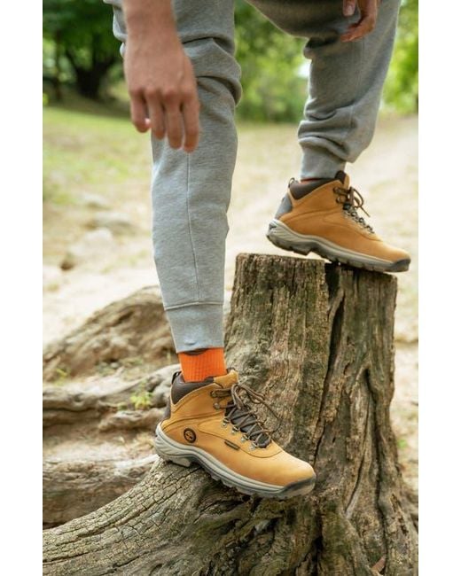 Timberland Natural Ledge Waterproof Hiking Boot for men