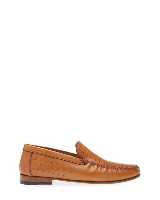 Mezlan Brown Perforated Moc Toe Loafer for men