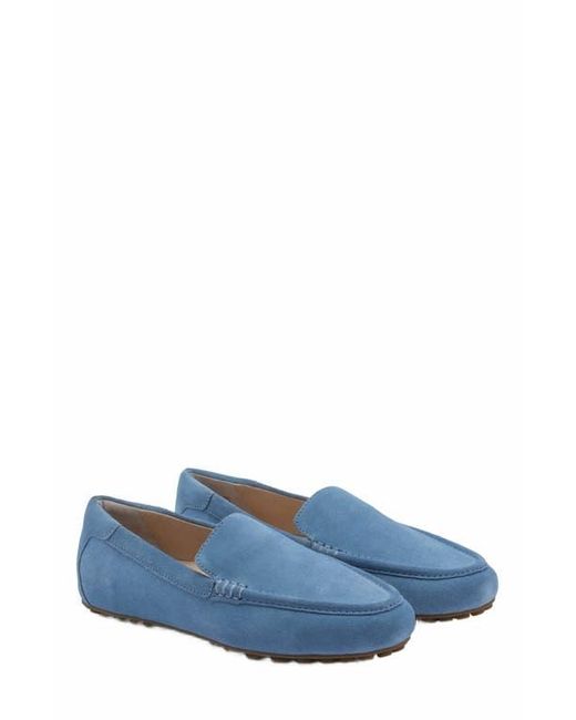 ABEO Blue Harbor Loafer