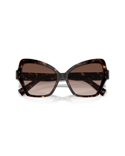 Dolce & Gabbana Brown 56mm Butterfly Polarized Sunglasses for men